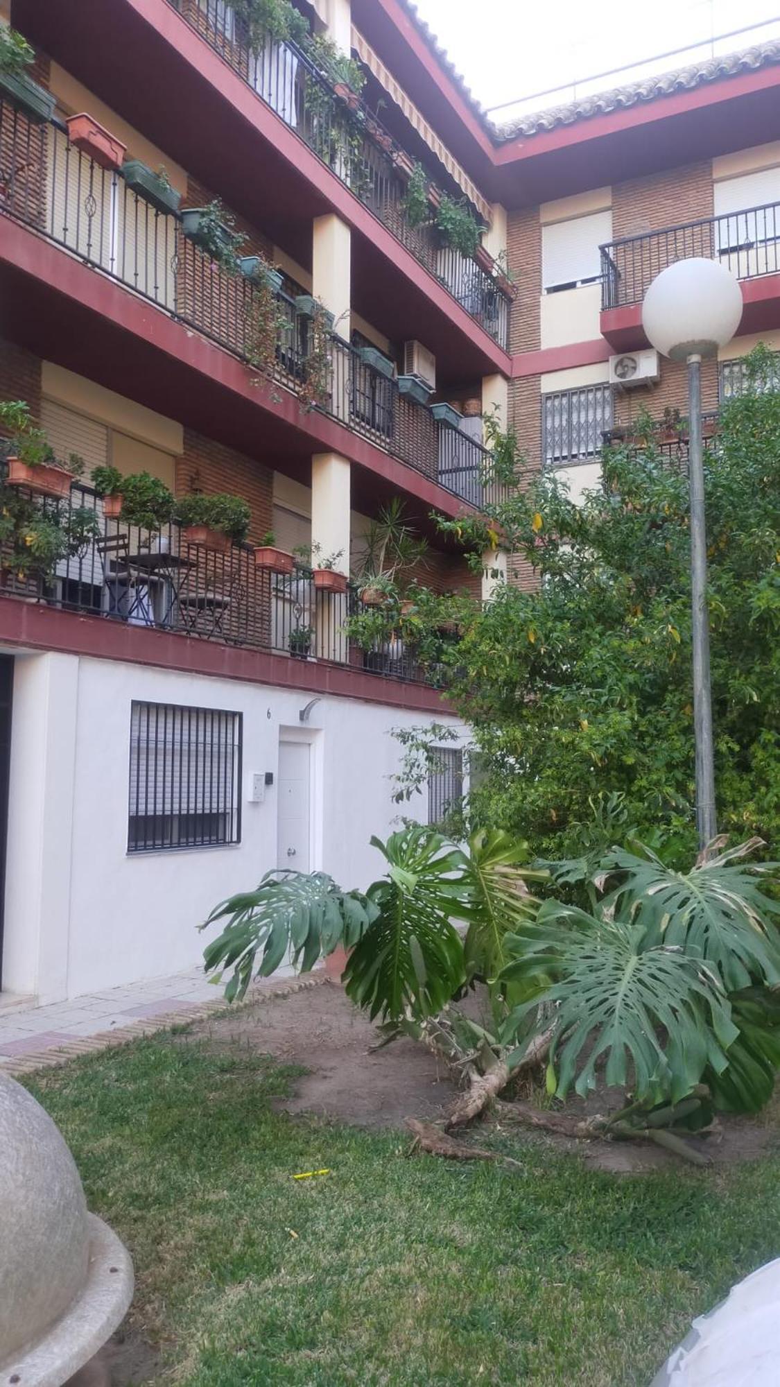 Loft A La Verita River, Parking Free قرطبة المظهر الخارجي الصورة